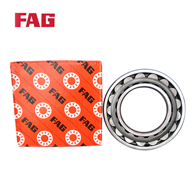 FAG Cylindrical Roller Bearing